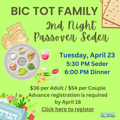 Banner Image for Abbreviated Tot/Young Family Musical Passover Seder
